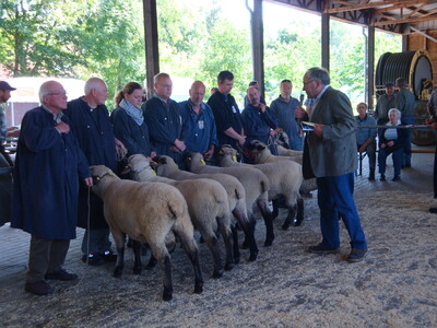 Preisrichter in Aktion