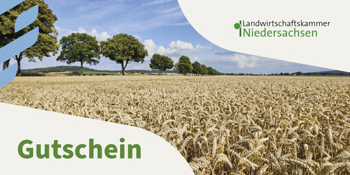 Seminar-Gutschein Motiv Sommer