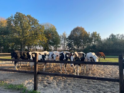 Verleihung des Staatsehrenpreises für besondere tierzüchterische Leistungen